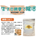 【植物性醗酵・非加熱】天才の源　うちの酵素　2ｇ×60包　健康プラザパル