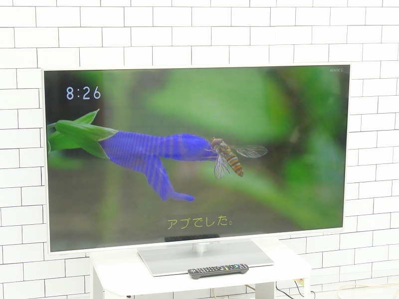 ѥʥ˥å/2013ǯ50Ͼ塦BS110CSǥϥӥվƥӡդUSBϡɥǥϿб/TH-L50E60