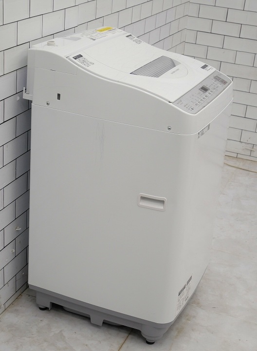 ���㡼����2019ǯ��5.5kg����������絡��ES-TX5C-S