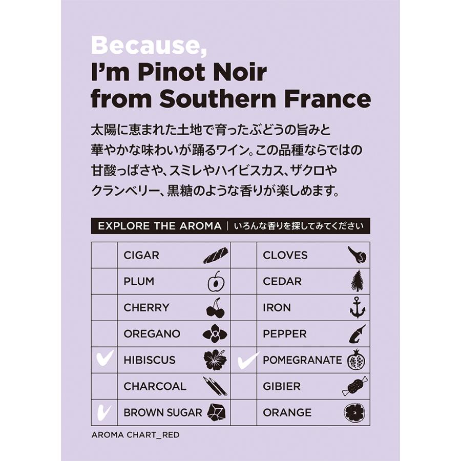 Because（ビコーズ） アイム ピノ・ノワール フロム サザン・フランス 750ml