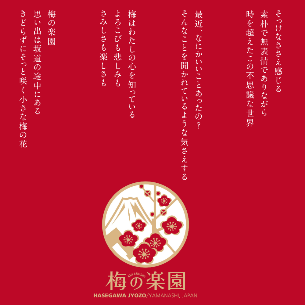 シーズコア　長谷梅と椎茸炊き込みご飯　126g
