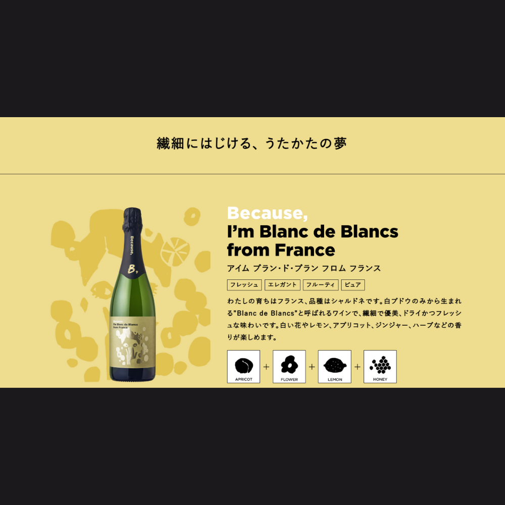 Because（ビコーズ） ブラン・ド・ブラン フロム フランス　750ml