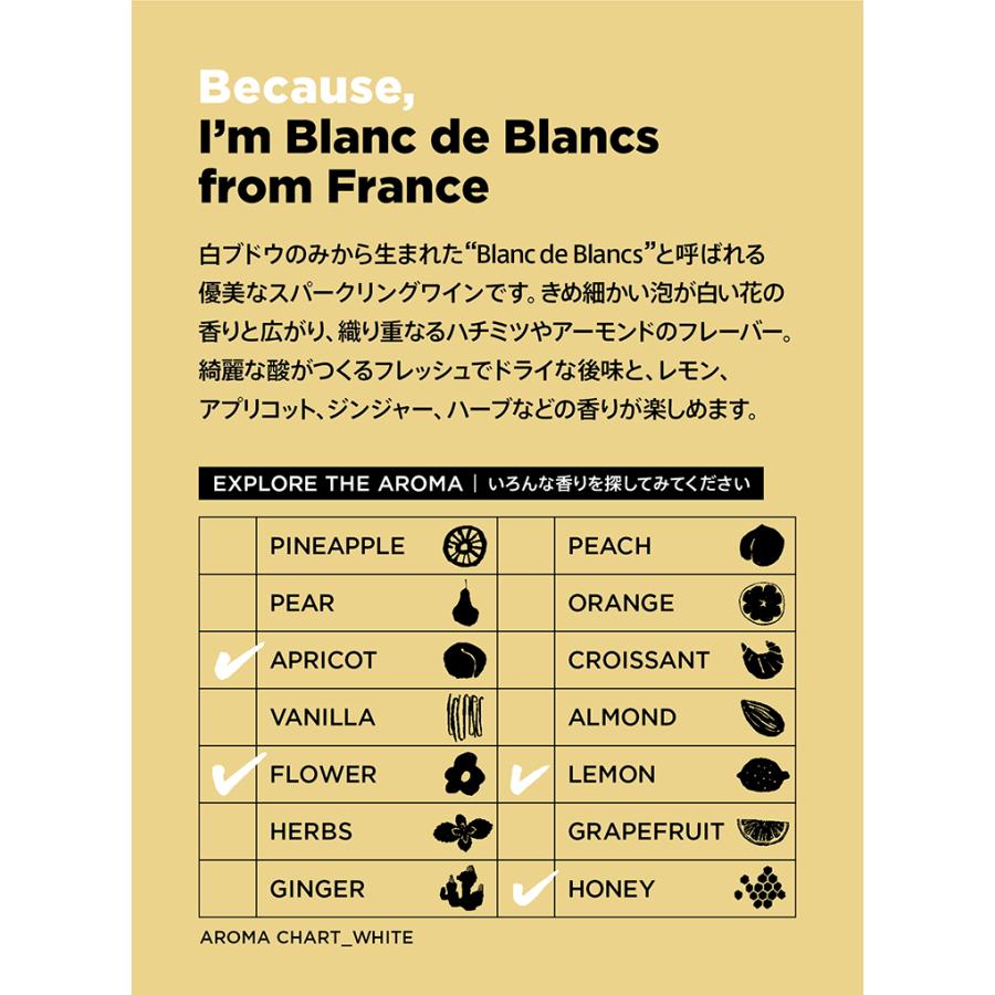 Because（ビコーズ） ブラン・ド・ブラン フロム フランス　750ml