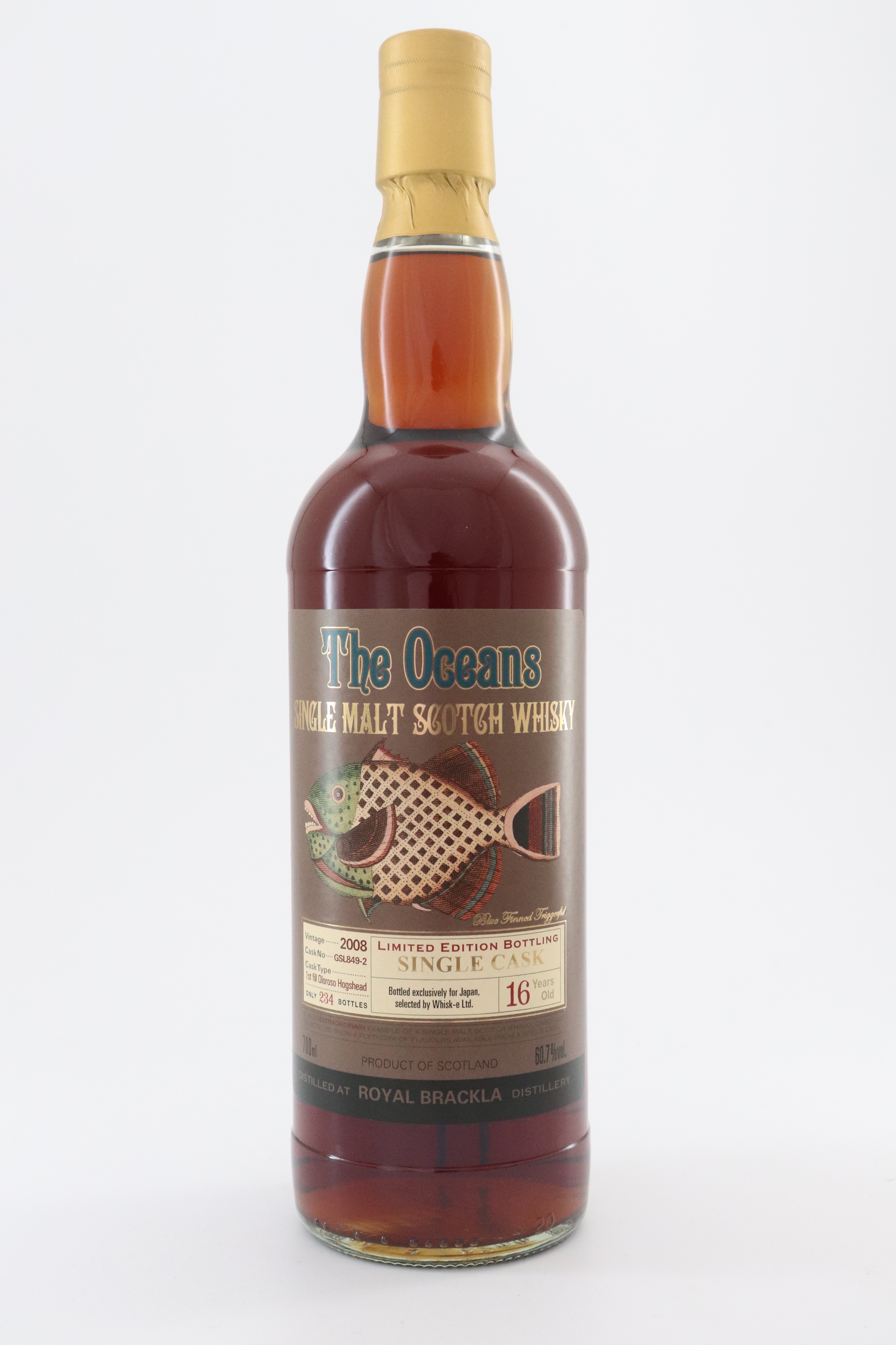 オーシャンズ ロイヤルブラックラ2008 1stフィル オロロソホグスヘッド