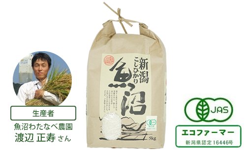 有機JAS認証 魚沼産こしひかり【白米・玄米】（魚沼わたなべ農園