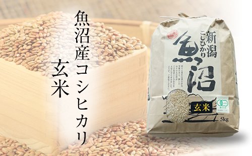 ͭJASǧ »Ҥơơۡʵ¤錄ʤࡿëԡ