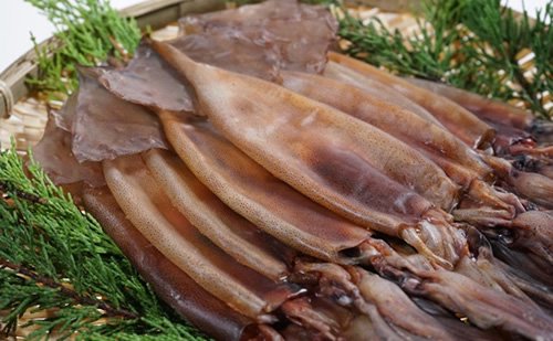 ����̾�� �ݴ������ʺ�ƣ���ȡ����ϻԡ�