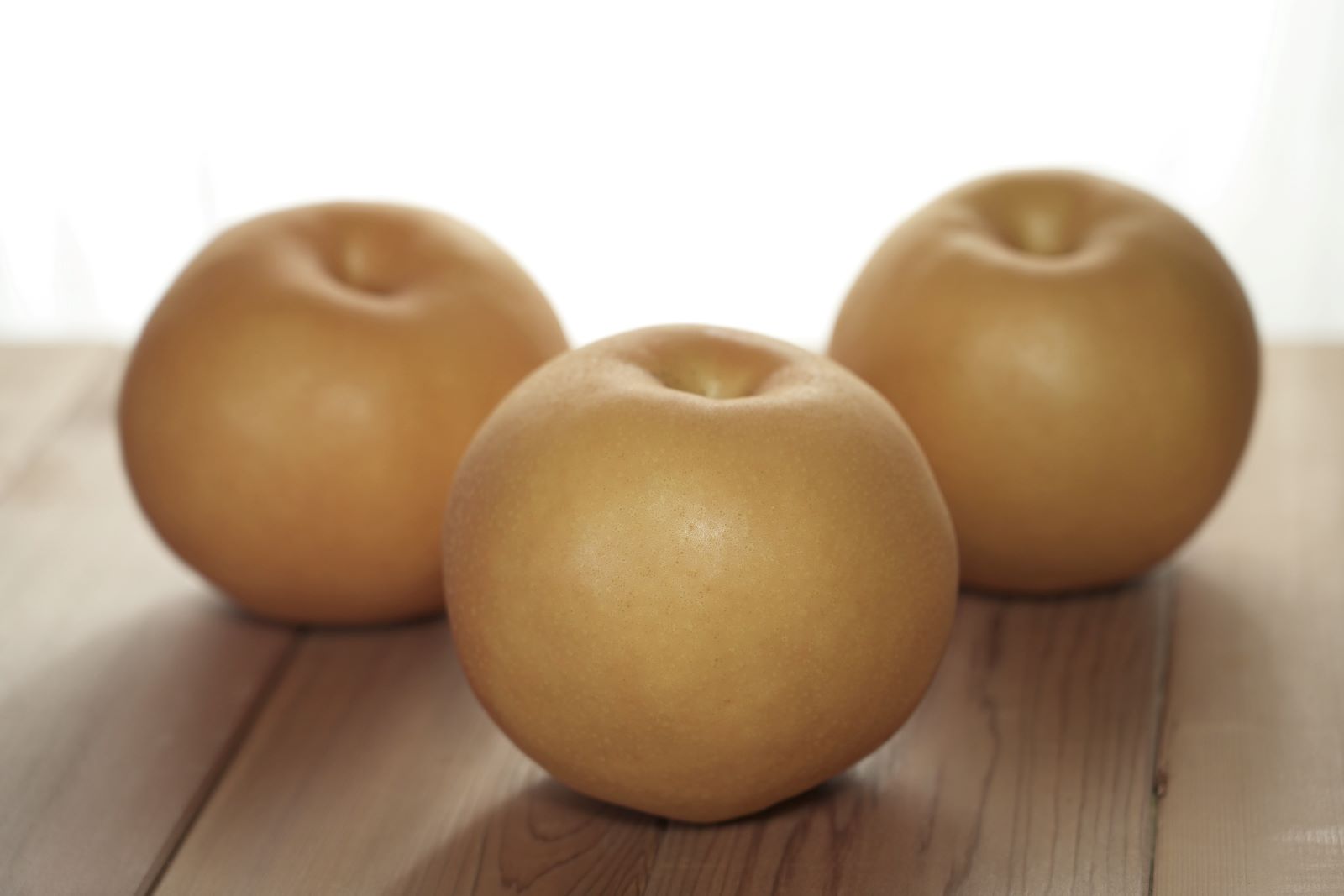 ������������Ĳ̱ࡿ���лԡ�