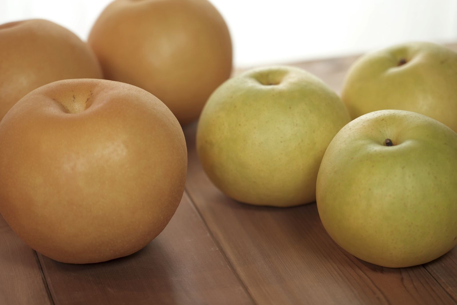 ������������Ĳ̱ࡿ���лԡ�