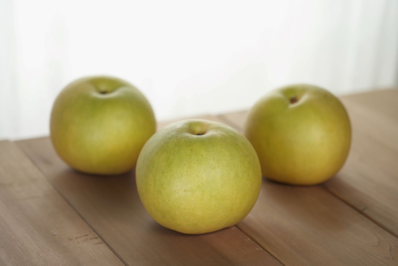 ������������Ĳ̱ࡿ���лԡ�