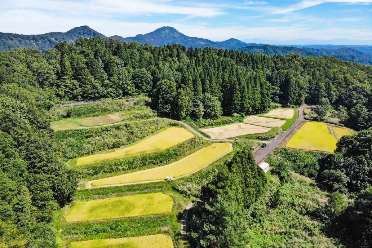 ê�ĤΥ����ҥ��ꡡ�㼼��¢�ơؤ����Ҥ����䤯�١ʰ���Ź����ۻԡ�