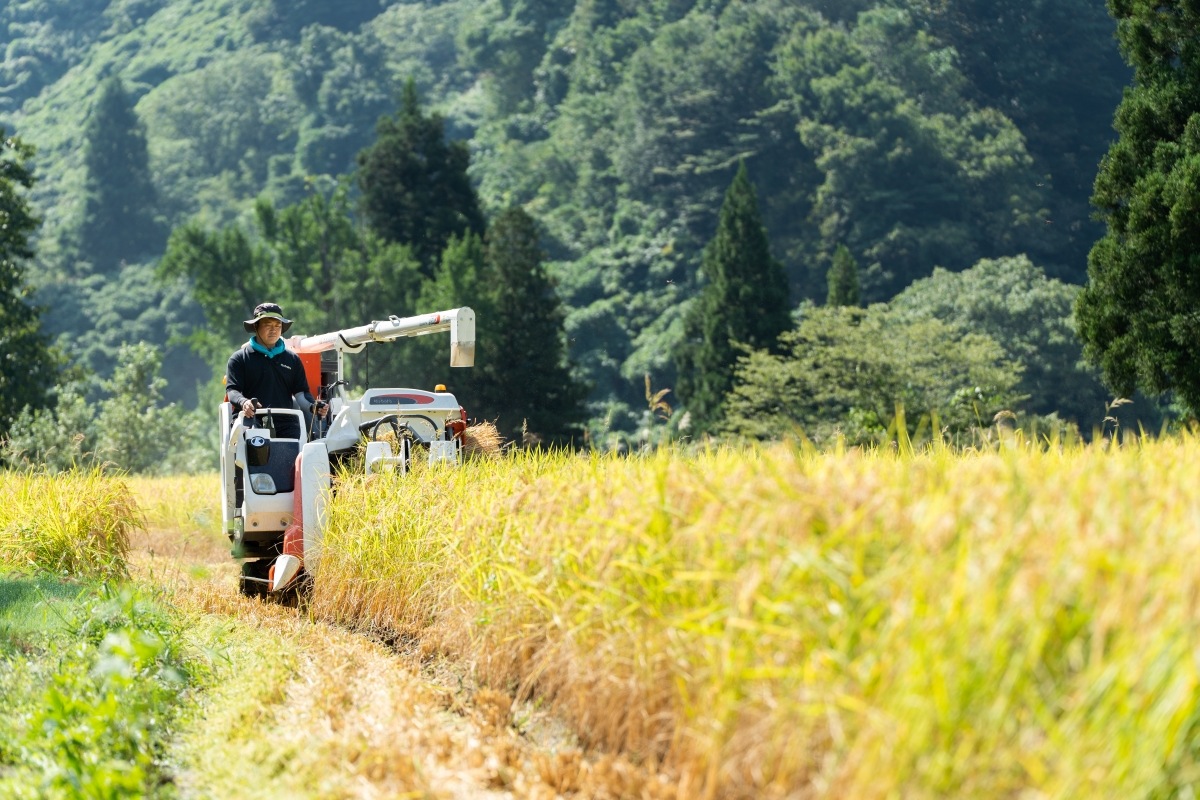 ê�ĤΥ����ҥ��ꡡ�㼼��¢�ơؤ����Ҥ����䤯�١ʰ���Ź����ۻԡ�