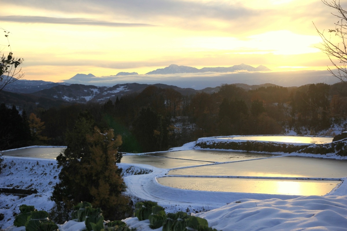 ê�ĤΥ����ҥ��ꡡ�㼼��¢�ơؤ����Ҥ����䤯�١ʰ���Ź����ۻԡ�