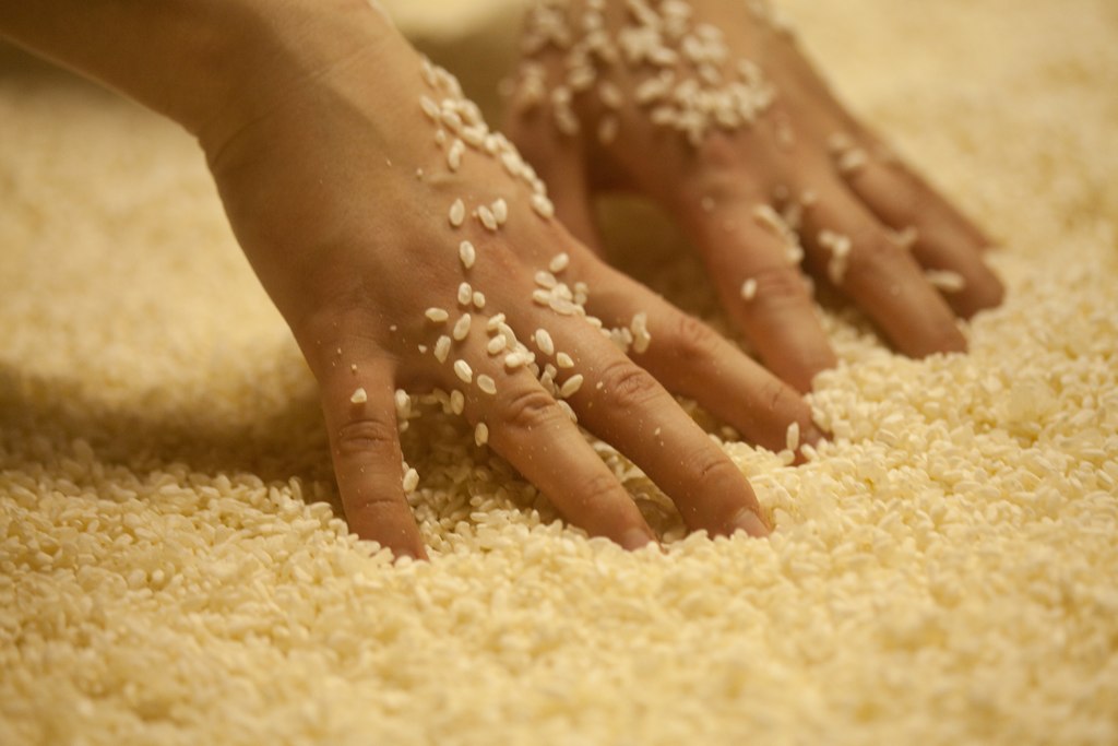 ��ż�ʸ�Į����¤��/����ԡ�