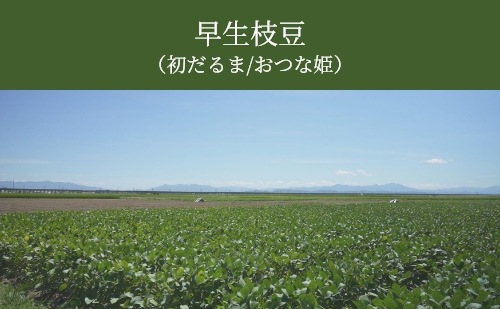 ī�Τ��Ʀ��������Ʀ��(�ʰ����ࡿ�����)