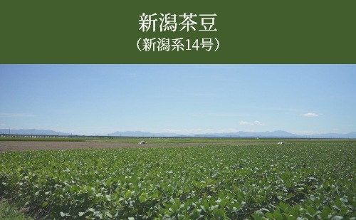 ī�Τ��Ʀ��������Ʀ(�����14��ˡ�(�ʰ����ࡿ�����)