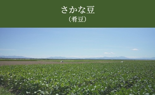 ī�Τ��Ʀ��������Ʀ��(�ʰ����ࡿ�����)