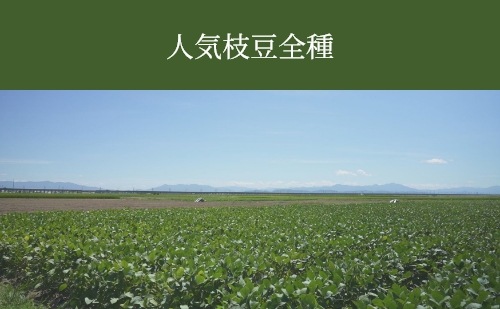 ī�Τ��Ʀ���ڴ��ָ�������ۿ͵���Ʀ���(�ʰ����ࡿ�����)