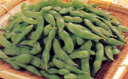 �����Ʀ��ī�Τꡡ����������Ʀ�ʱʰ����ࡿ���� �����