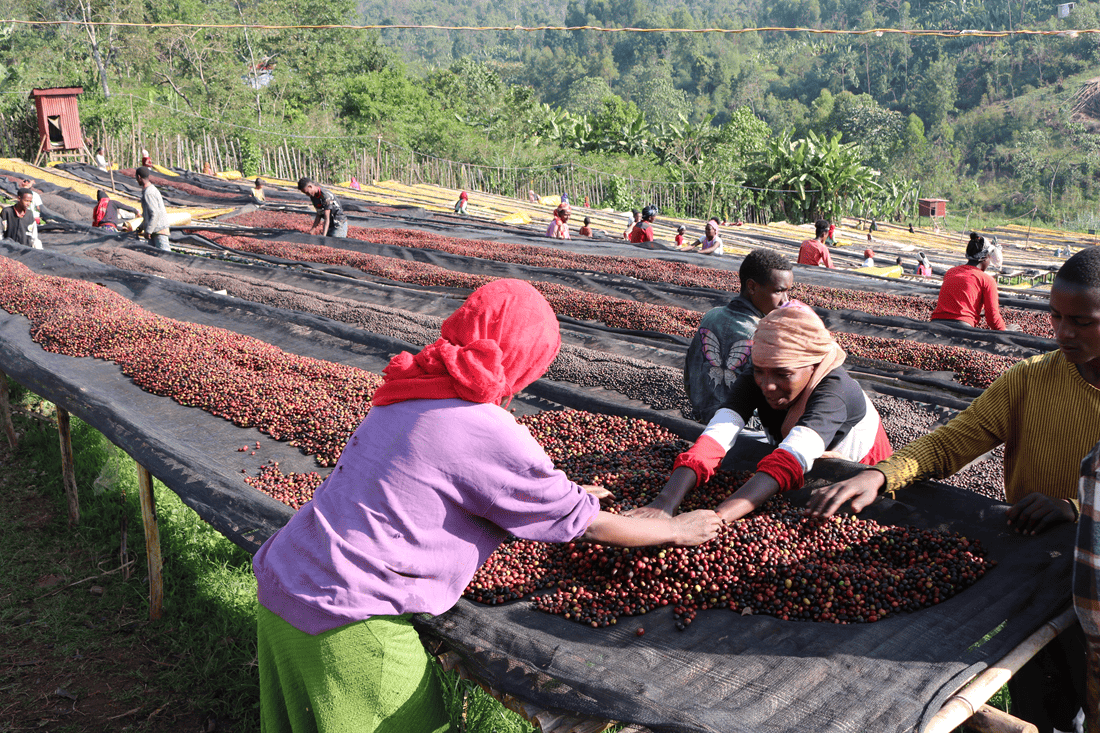 ���ڥ����ƥ������ҡ��ʥʥ���饳���ҡ�������������/Ĺ��)