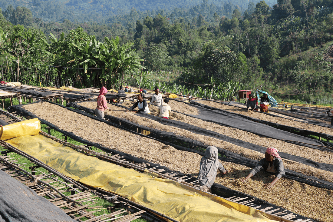 ���ڥ����ƥ������ҡ��ʥʥ���饳���ҡ�������������/Ĺ��)