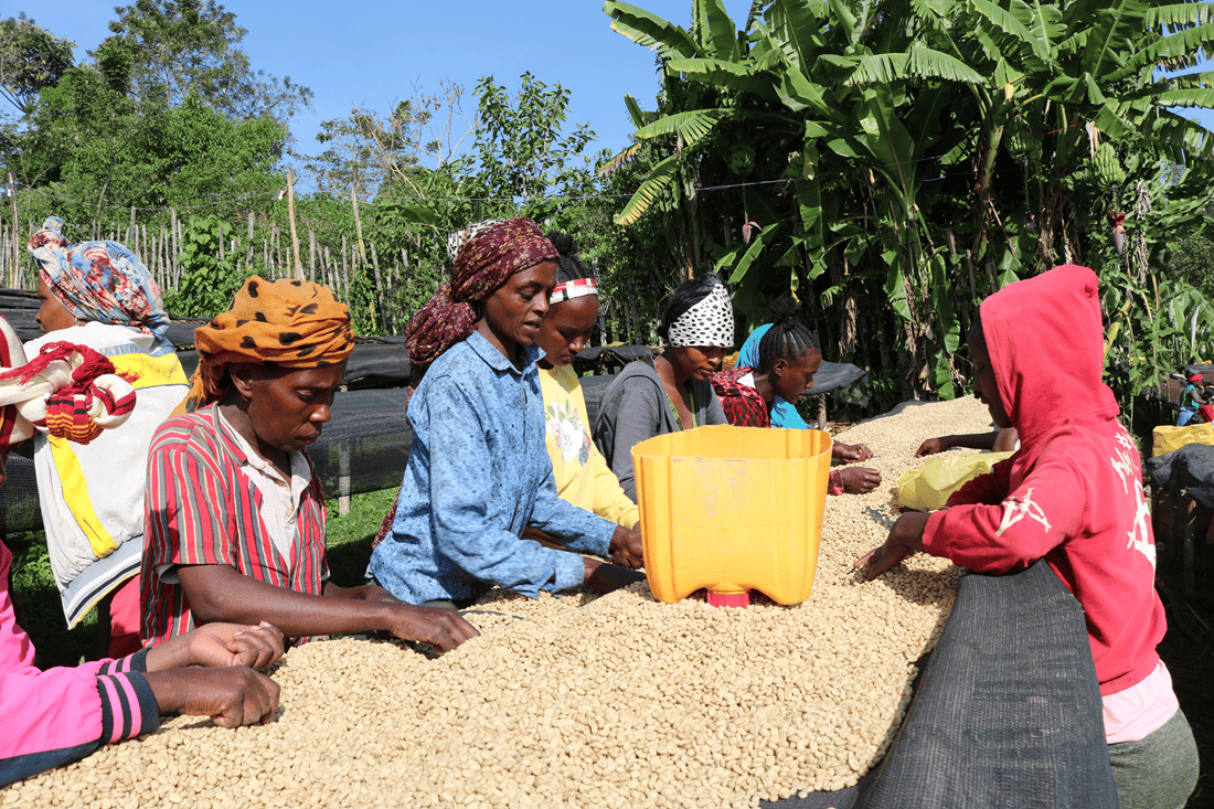 ���ڥ����ƥ������ҡ��ʥʥ���饳���ҡ�������������/Ĺ��)