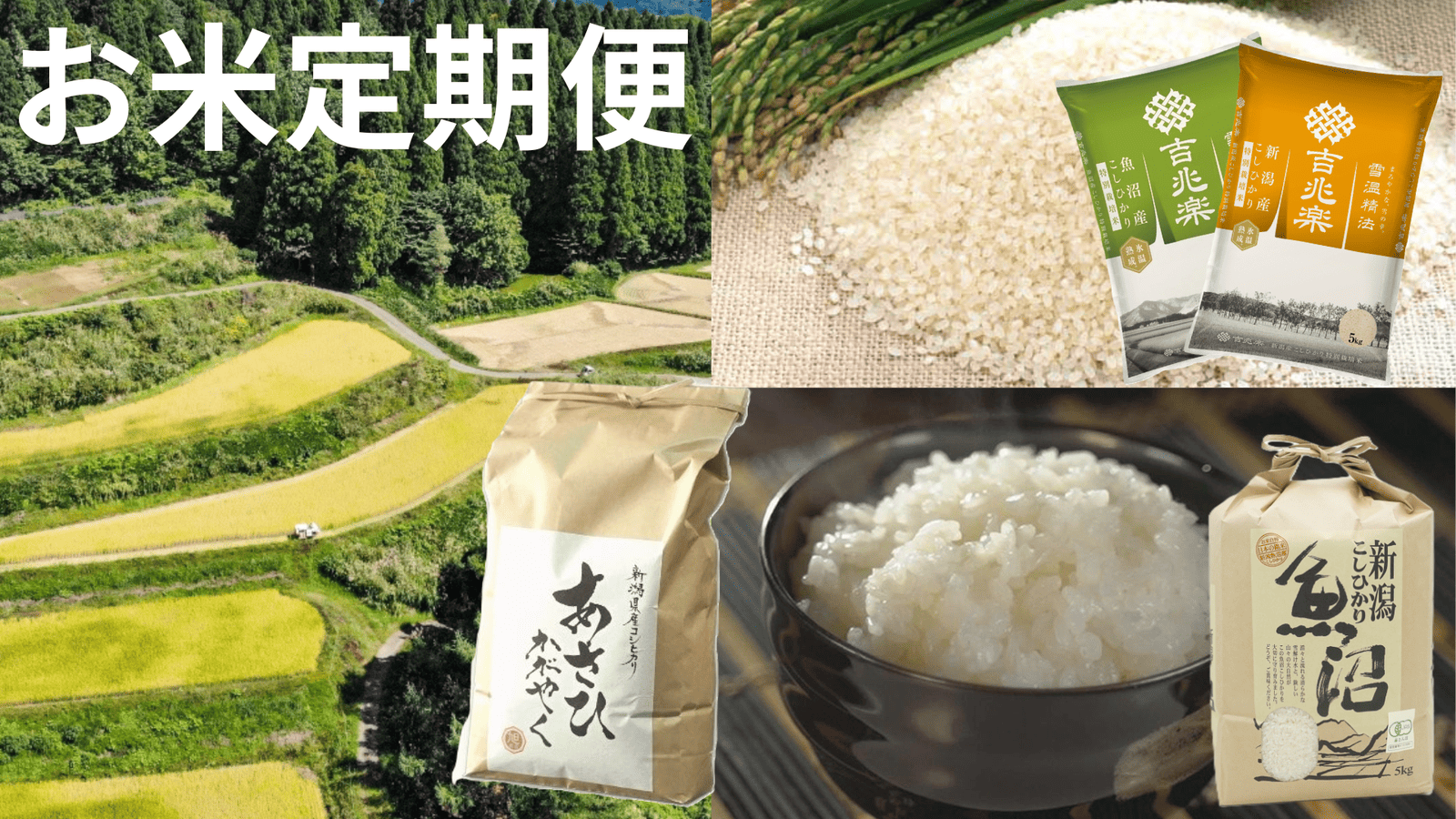 ��������ء�5kg����3��ȯ����