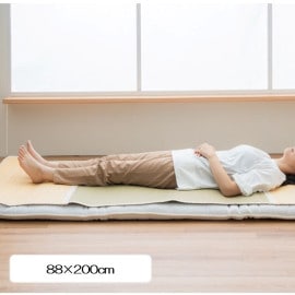 �Х󥰥饹 �ߥѥåɡ�������ݤο���ŷ���Ǻत��