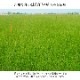 ڴָ20%OFFDX󥯥  饰 ڥå    ץ ¼ ӥ ߤ ñ  ɽ Ĵ ý  ˤ 