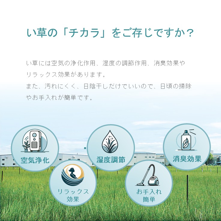 ���륷�� �����ڥå� ����饰 ����