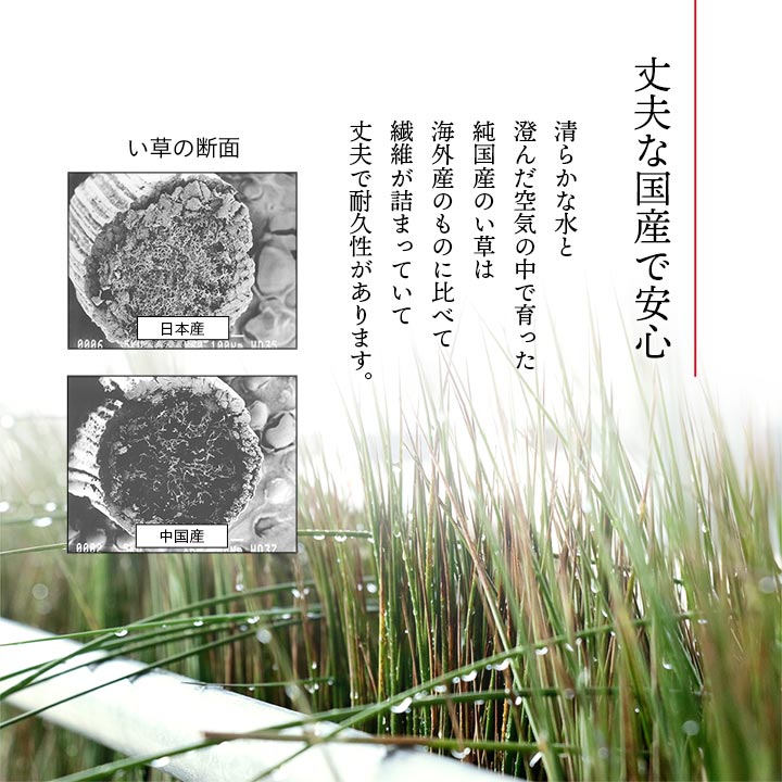 �ե֥� ���� ��������� ������ �� ������ ���� ����� �¼� ���������ñ �� �����ɽ� Ĵ�� �ý� �������� ����ˤ���