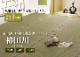 ������ ���� ���� �� ������ ���ߤ� �¼� ��ʪ �����ڥå� ��ϻ�� ���������ñ �� �����ɽ� Ĵ�� �ý� �������� ����ˤ��� 