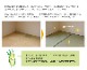 ������ ���� ���� �� ������ ���ߤ� �¼� ��ʪ �����ڥå� ��ϻ�� ���������ñ �� �����ɽ� Ĵ�� �ý� �������� ����ˤ��� 