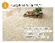 ����󥼥ꥼ �����ڥå� ��� �饰 �������饰 ʿ�������ڥå� �ɱ� ���� �� ������ ����˼ �ۥåȥ����ڥå��б�
