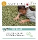 ����󥼥ꥼ �����ڥå� ��� �饰 �������饰 ʿ�������ڥå� �ɱ� ���� �� ������ ����˼ �ۥåȥ����ڥå��б�