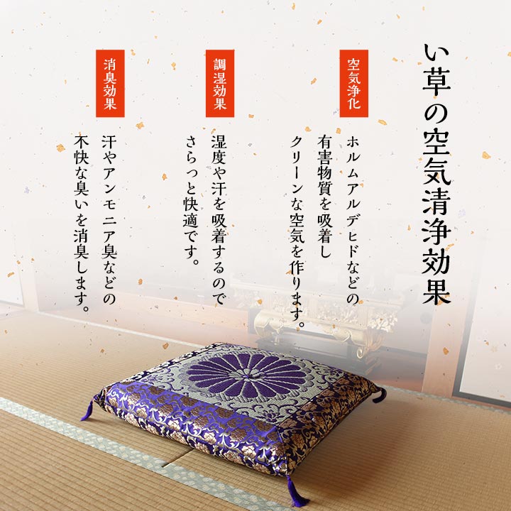 ���鱡 ���� ��������� ���������� ʩ�������� ������ �� ������ ��С����֥� ʩ�� ˡ�� ���� £��ʪ ���� �¼� ���������ñ �� �����ɽ� Ĵ�� �ý� �������� ����ˤ��� 