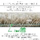   ����ƥ��� �����ڥå� ��� �饰 �������饰 ʿ�������ڥå� ���� �� ������ ����ץ� �ý� ���� ���� ����륭��å��㡼 �����к� �ɱ� 