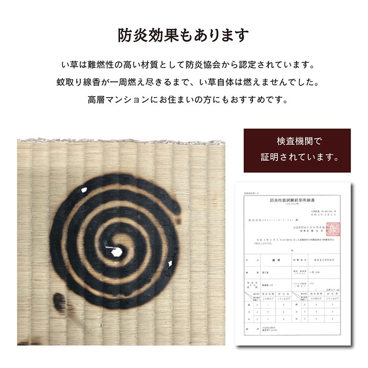 �ڴ��ָ���10%OFF������ �֤��� ��˥åȾ� �����ƥ�� �إ�ʤ��� ���� �ե�������б� ����ץ� ����� ���������� �ý� ��̵�� ����������ߤ� ��Ǽ���� ���������ñ ��  �����ɽ� Ĵ�� �ý� �������� ����ˤ��� 