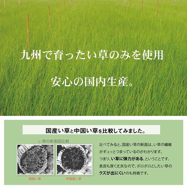 �ǥ˥ॹ�����٥ӡ������� �٥ӡ����� ���å����� �٥ӡ��ޥå� �ޥå� ���� �� ������ ���� ���������ñ �� �����ɽ� Ĵ�� �ý� �������� ����ˤ��� 