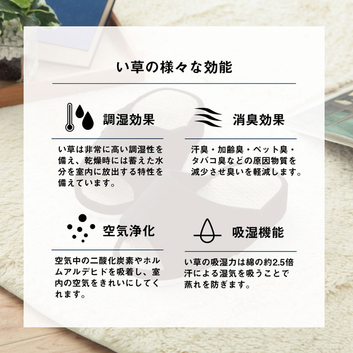 ������ ���𥳥�ե����� ����å� �롼�ॷ�塼�� ����ץ� ���� �ý� ����ե����� ������ ��ǯ���� ���� ���ե��� ��� �����̳ �� 