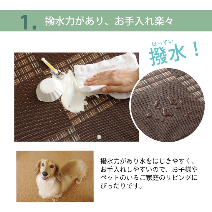 F��������  �����ڥå� ��� �饰 �����륫���ڥå� PP�����ڥå� ������ �� ������ ������� 