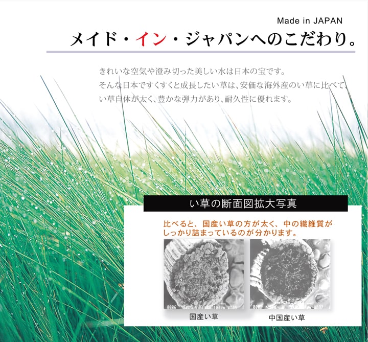  �ڴ��ָ���10%OFF�� DX�Ȼ� ���� ����饰 �����ڥå� �� ������ �Ȼ��� �¥���� �¼� ��ӥ� ���ߤ� ���������ñ �� �����ɽ� Ĵ�� �ý� �������� ����ˤ��� 