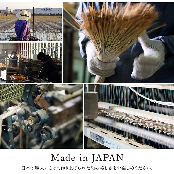 F������� ���� ����饰 �����ڥå� �� ������ �Ȼ��� �դä��� ����� �¼� ��ӥ� ���ߤ� ���������ñ �� �����ɽ� Ĵ�� �ý� �������� ����ˤ��� 