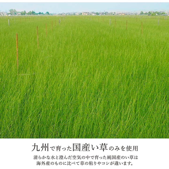 F������� ���� ����饰 �����ڥå� �� ������ �Ȼ��� �դä��� ����� �¼� ��ӥ� ���ߤ� ���������ñ �� �����ɽ� Ĵ�� �ý� �������� ����ˤ��� 