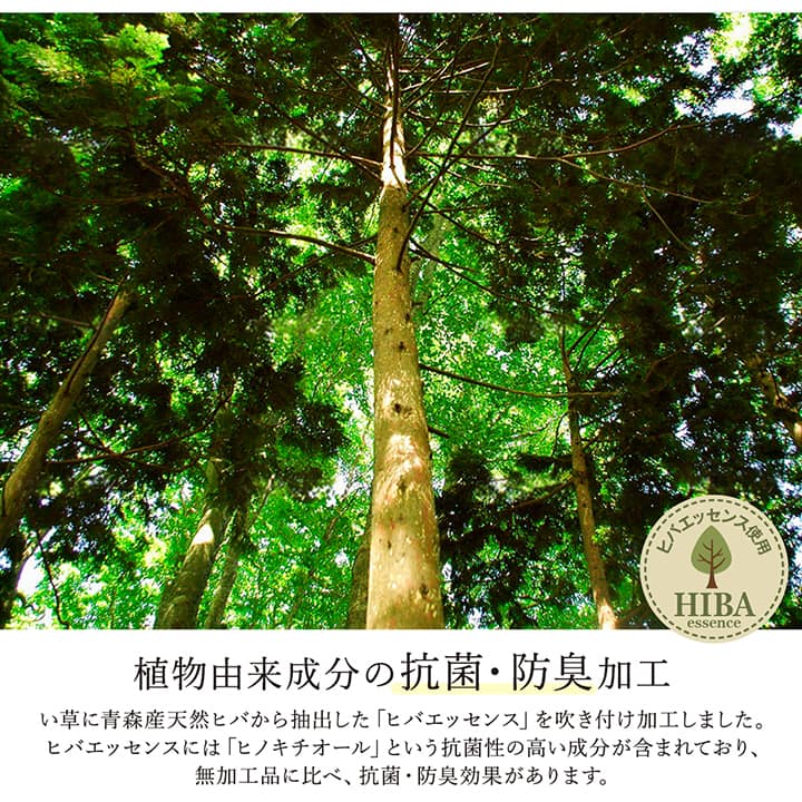 F������� ���� ����饰 �����ڥå� �� ������ �Ȼ��� �դä��� ����� �¼� ��ӥ� ���ߤ� ���������ñ �� �����ɽ� Ĵ�� �ý� �������� ����ˤ��� 