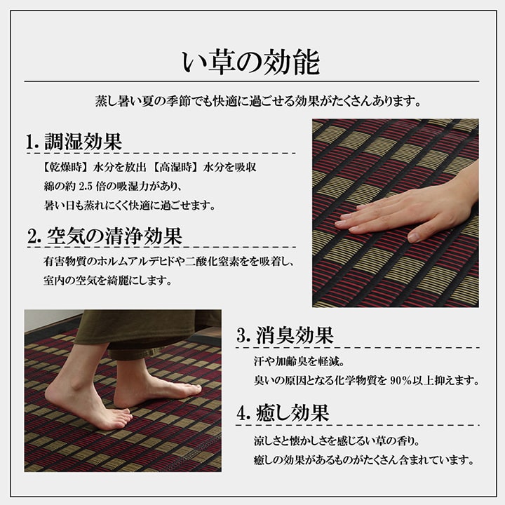    ֤   ߤ ¼ ʪ ڥå 饰   ñ  ɽ Ĵ ý  ˤ 