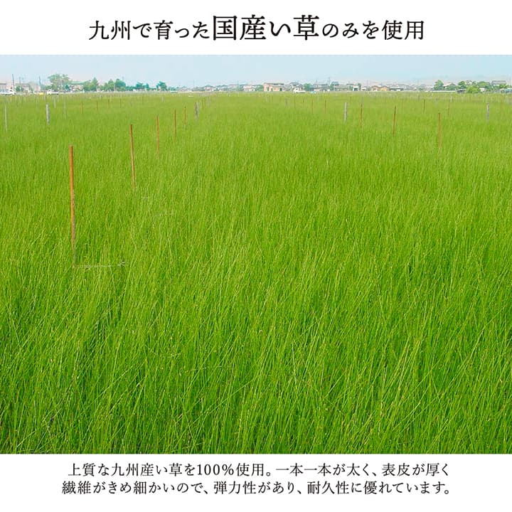 �缫�� ���� ���� �֤��� �� ������ ���ߤ� �¼� ��ʪ �����ڥå� ����� ��� ���������ñ �� �����ɽ� Ĵ�� �ý� �������� ����ˤ��� 