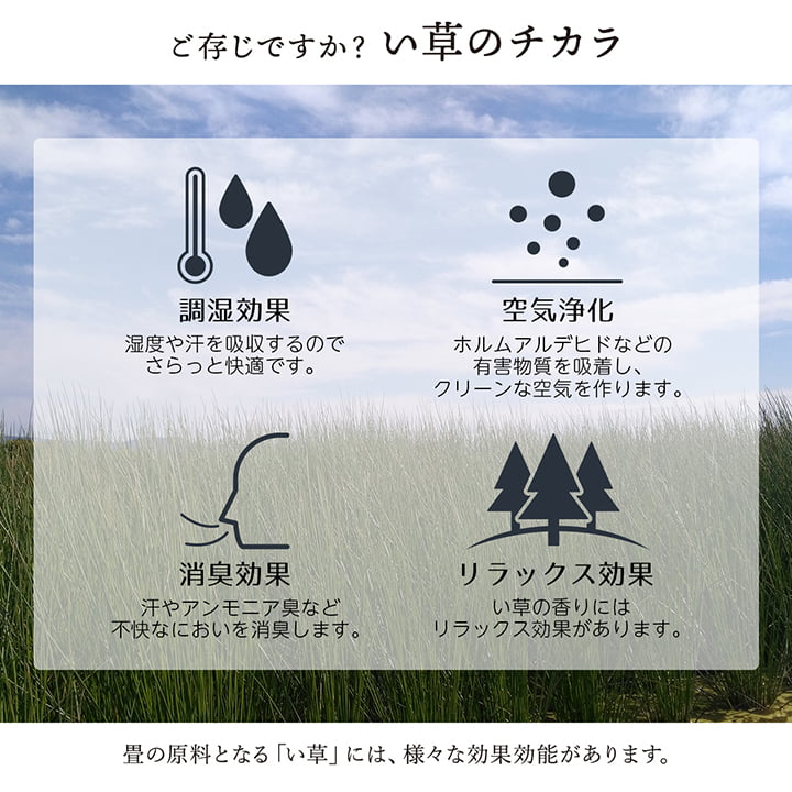 �缫�� ���� ���� �֤��� �� ������ ���ߤ� �¼� ��ʪ �����ڥå� ����� ��� ���������ñ �� �����ɽ� Ĵ�� �ý� �������� ����ˤ��� 