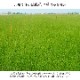 �缫�� ���� ���� �֤��� �� ������ ���ߤ� �¼� ��ʪ �����ڥå� ����� ��� ���������ñ �� �����ɽ� Ĵ�� �ý� �������� ����ˤ��� 