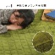�쥤�䡼 �����ڥå� ��� �饰 ����ȥ饰 �ݲ� ��Ǯ ��Ǯ ���������ñ ����ץ� ���ߤ� 